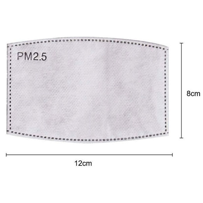 2PCS Mask Filter Element PM2.5 - Pm2.5 Filter Insert review and price